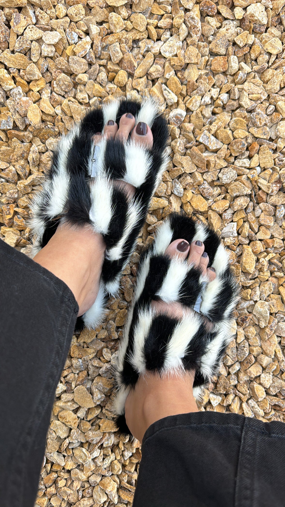 Zebra slippers