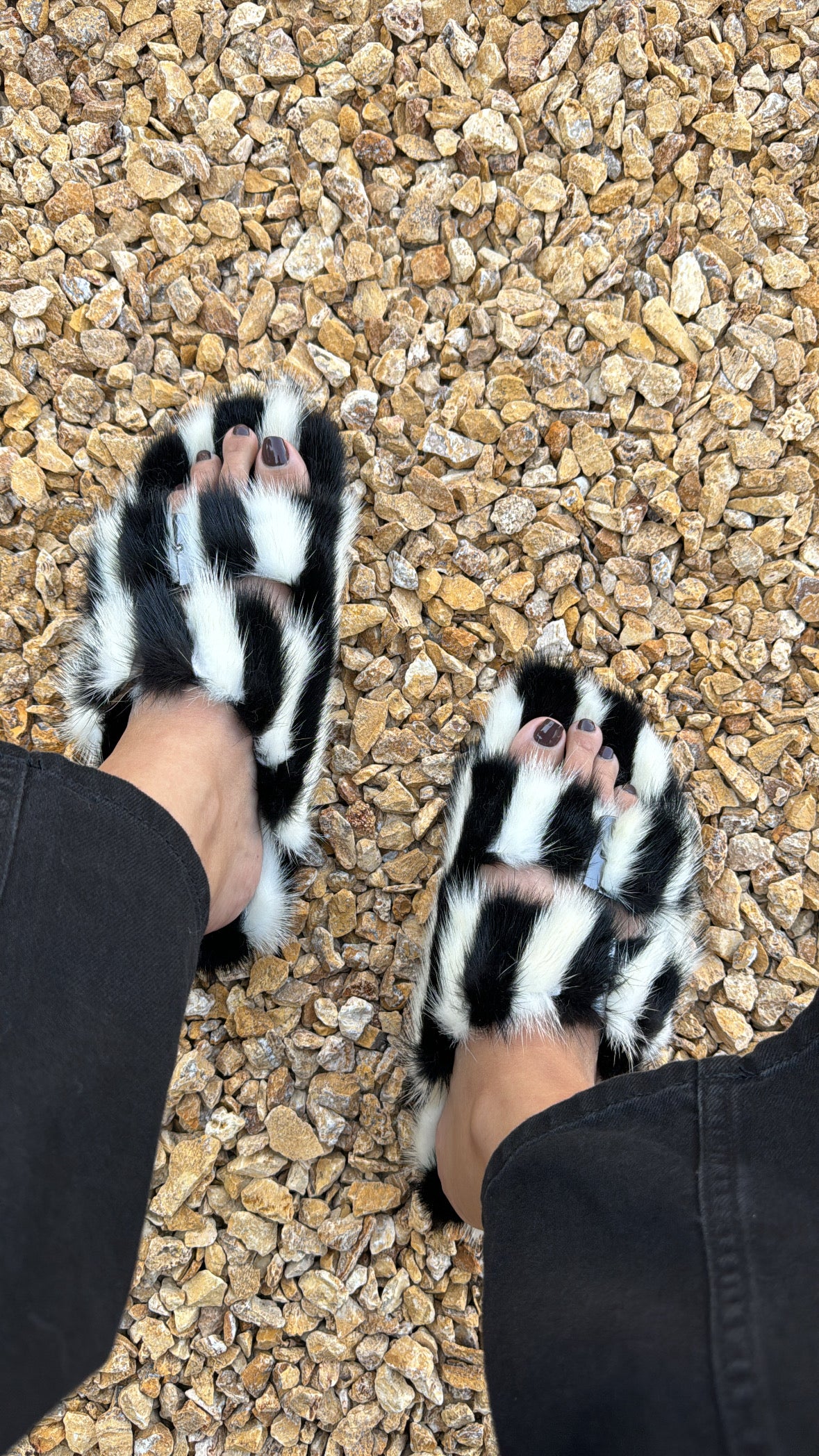 Zebra slippers
